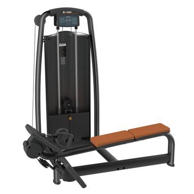 坐式背肌伸展練習器