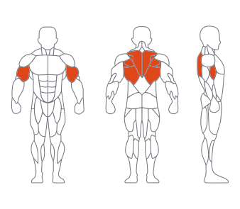 LD1034坐式平行拉背訓練器 副本.png