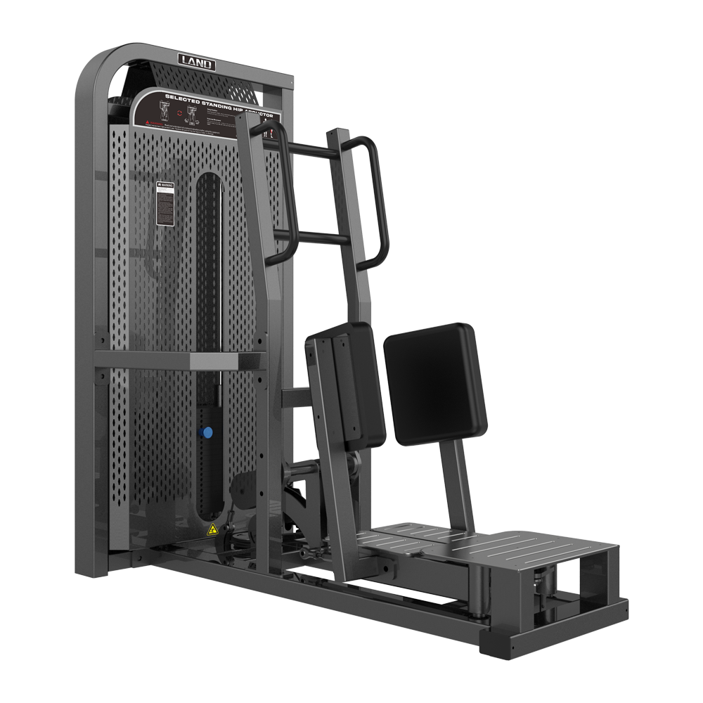  LDDS係列（liè）