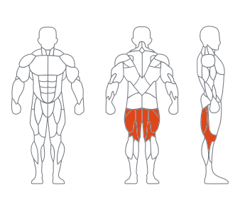 LD1001 俯臥曲腿訓練器 副本