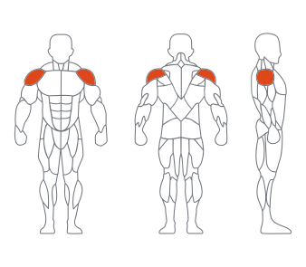 LD1006仰臥舉肩訓練器 副本（běn）