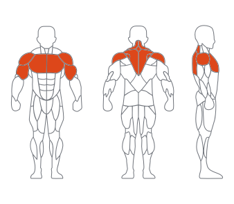 LD1007直臂夾胸（xiōng） 副本