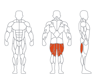 LD1023坐式(shì)屈腿 副本 LD1023坐式屈腿(tuǐ) 副(fù)本