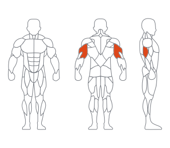 LD1027 0°三頭肌練習（xí）器 副本