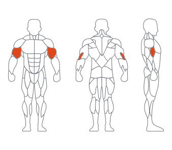 LD1030 45度二頭（tóu）肌訓（xùn）練器 副本