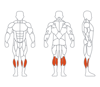 LS-097站（zhàn）式小腿訓練器（qì）