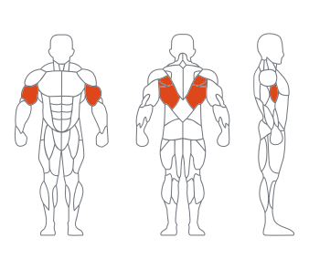 LS-026坐式低拉背練習器