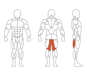 LS-013坐式屈腿(tuǐ)練習器 LS-013坐式屈腿練習器