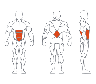 LS-010前（qián）屈後（hòu）壓雙功能練習器