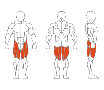 LS-008調節式蹬（dēng）腿練習器