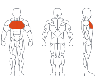 LS-001胸部推舉練習器 LS-001胸部推舉(jǔ)練習器