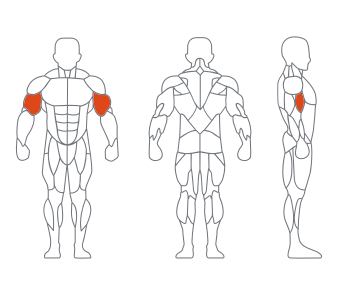 LS-006二頭肌（jī）彎舉練習（xí）器