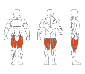 GL-7096俯臥屈腿練習器(灰色) GL-7096俯臥(wò)屈腿練習器(灰色)