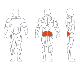GL-7079大腿伸展練習器(灰色) GL-7079大(dà)腿伸展練習器(灰色)