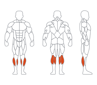 GL7060坐式小腿訓練器 GL7060坐式(shì)小腿訓練器