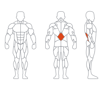 GL-7058坐式背(bèi)肌練習器(白銀) GL-7058坐式背肌練習器(白銀)