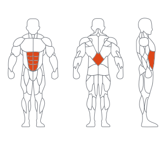 GL7057A腹部前屈(qū)訓練器 GL7057A腹部前屈訓練器